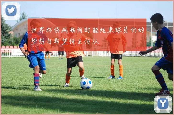 世界杯伤病潮何时能结束球员们的梦想与希望何去何从